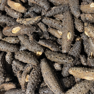 新西兰海参 - 图片 1